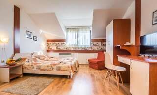 Отель Grami Hotel Банско Двухместный номер с 2 отдельными кроватями (для 2 взрослых и 1 ребенка)-3